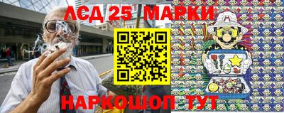 гидропоника Пенза