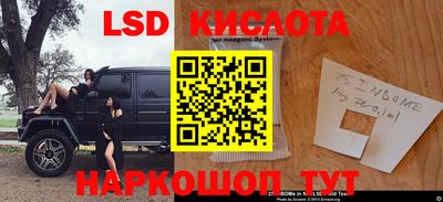 прущие крисы Партизанск