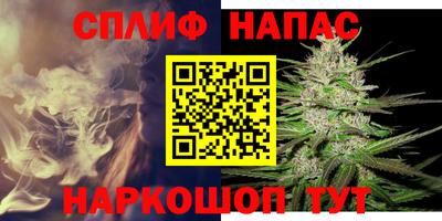 гидропоника Пенза