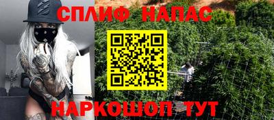прущие крисы Партизанск