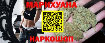 гидропоника Пенза