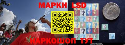 гидропоника Пенза