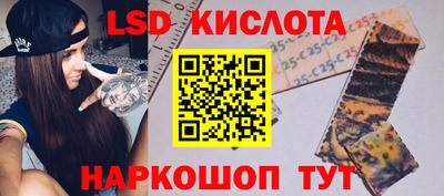 гидропоника Пенза