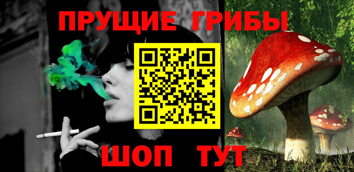 Галлюциногенные грибы Psilocybine cubensis Тихорецк