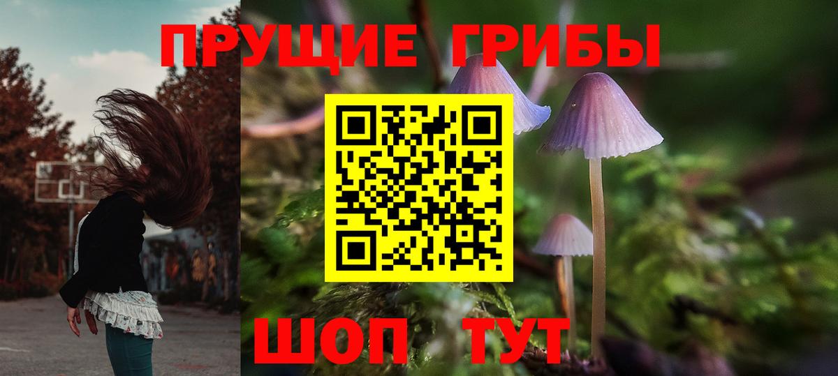 Псилоцибиновые грибы Magic Shrooms  Псилоцибиновые грибы Psilocybine cubensis  Вход с VPN  Тихорецк 